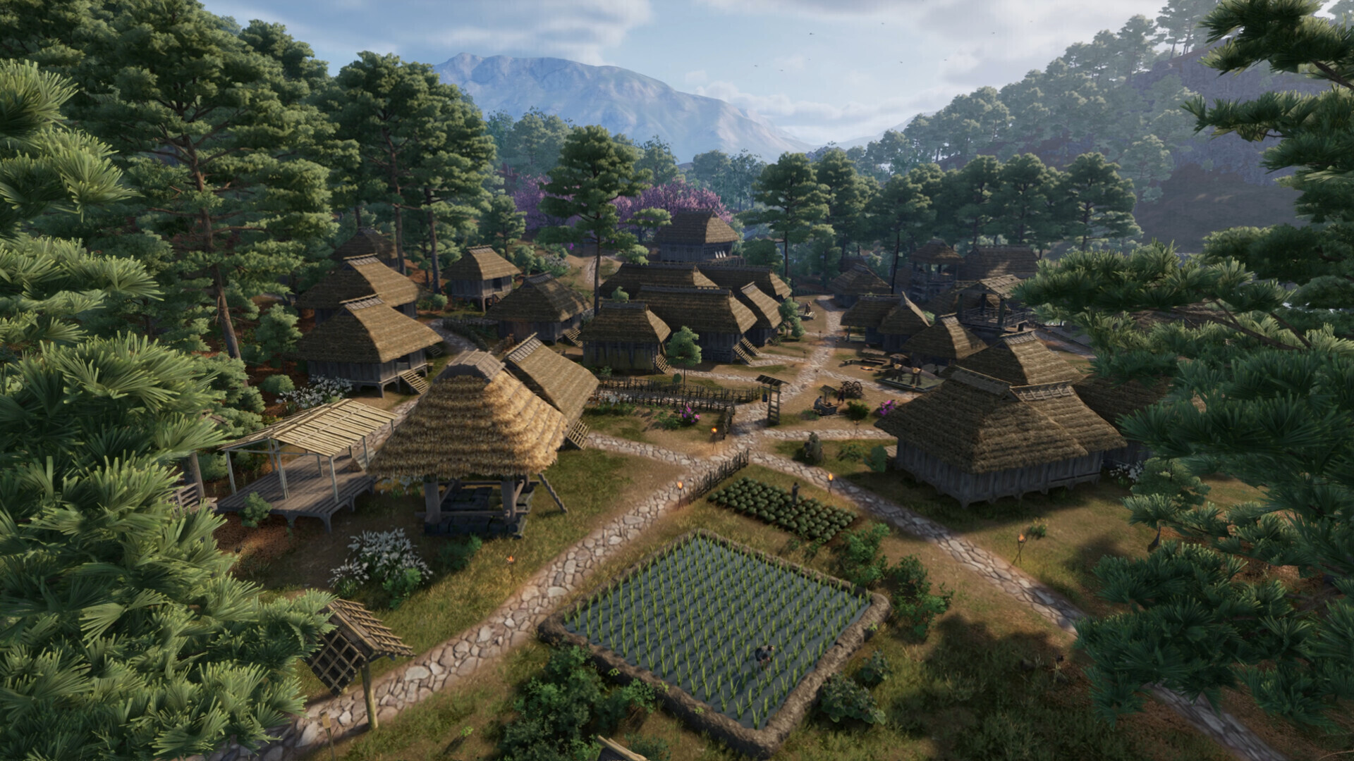 Sengoku Dynasty Preview 1