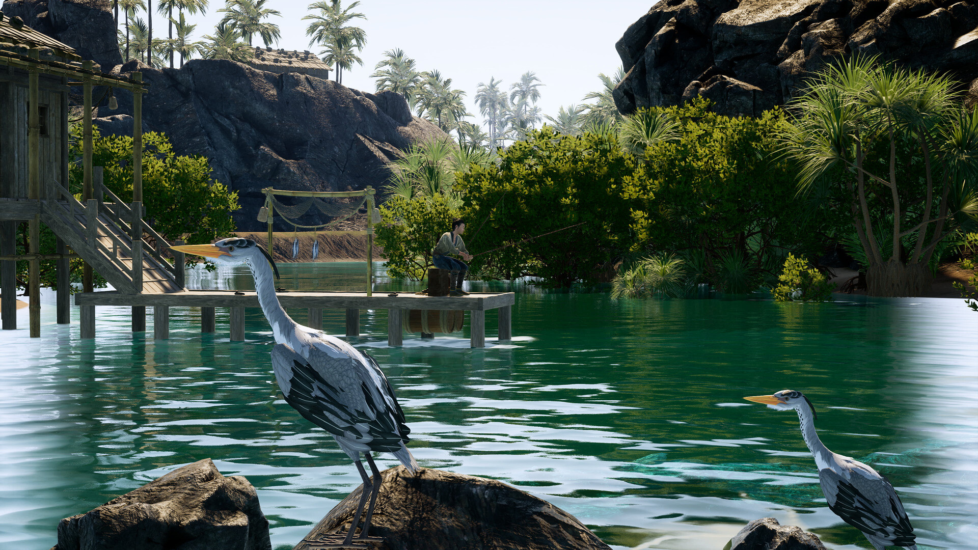 Sengoku Dynasty Preview 5