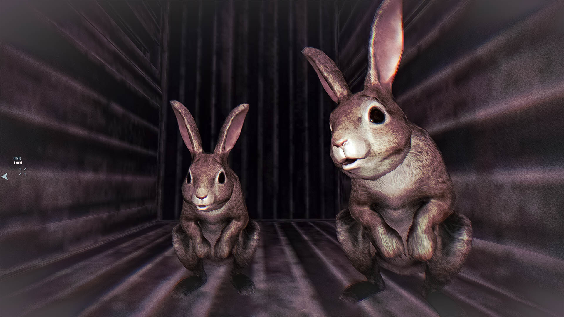 Rabbit Riot Preview 3
