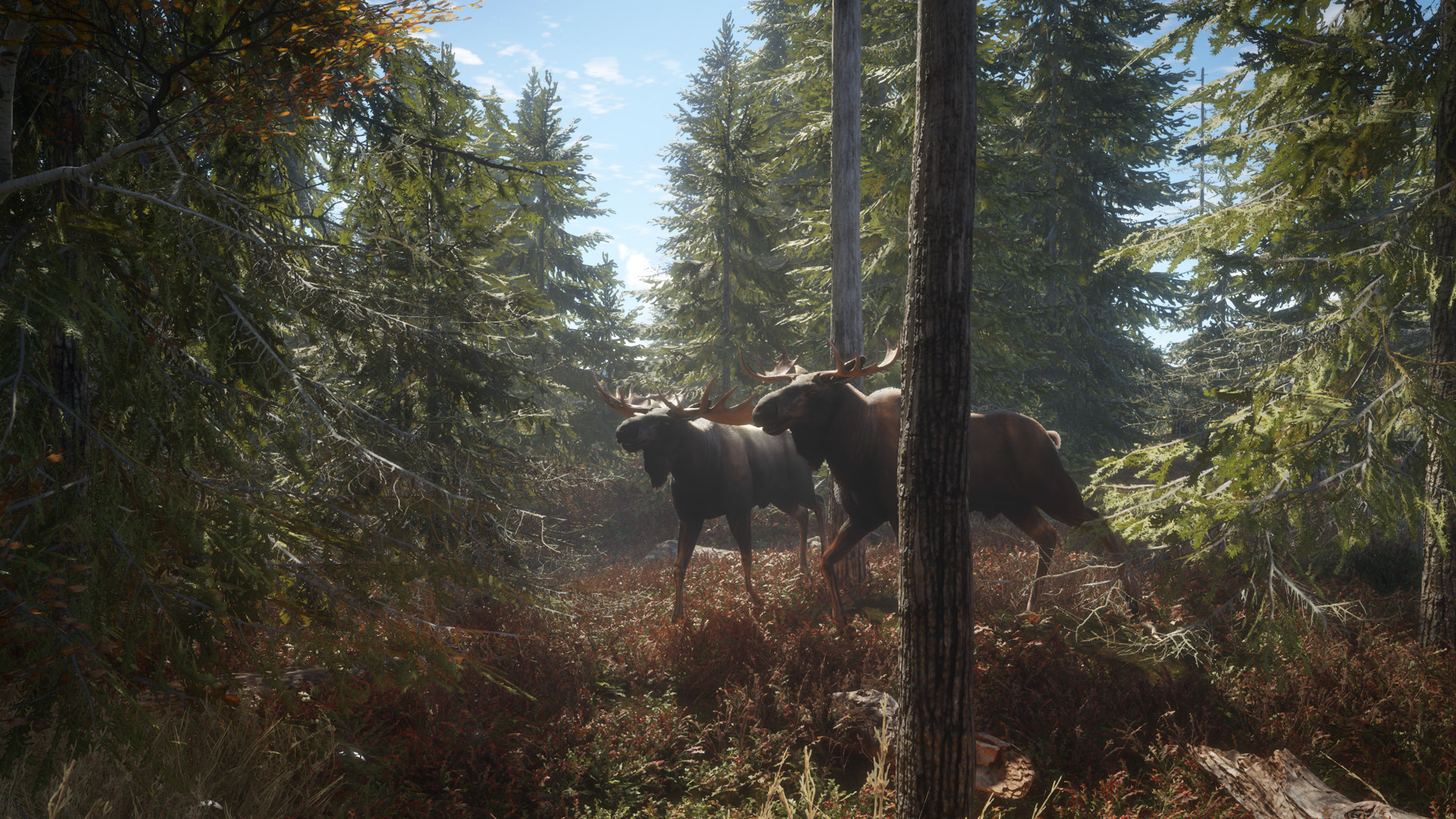 theHunter: Call of the Wild™ Preview 1