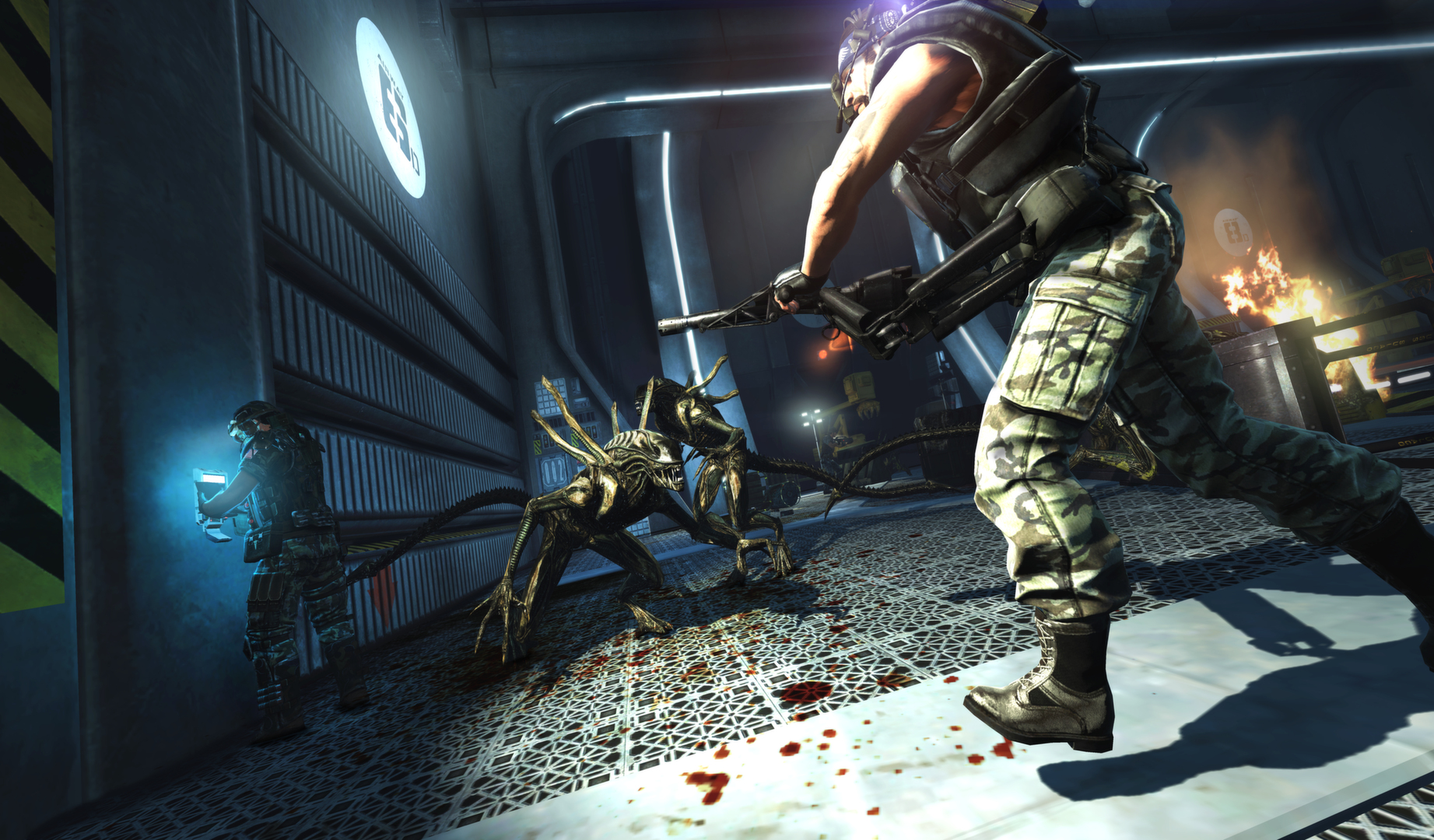 Aliens: Colonial Marines Collection Preview 1