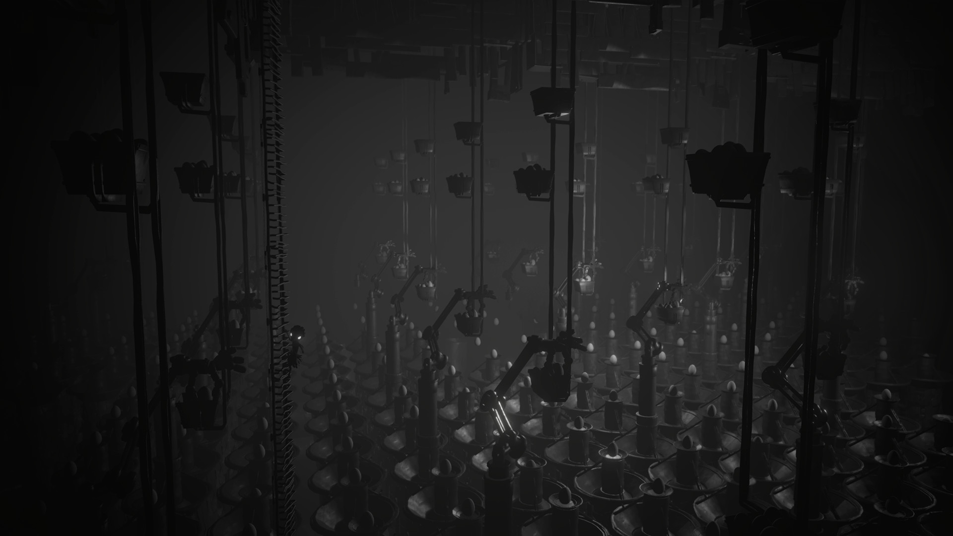 White Shadows Preview 4