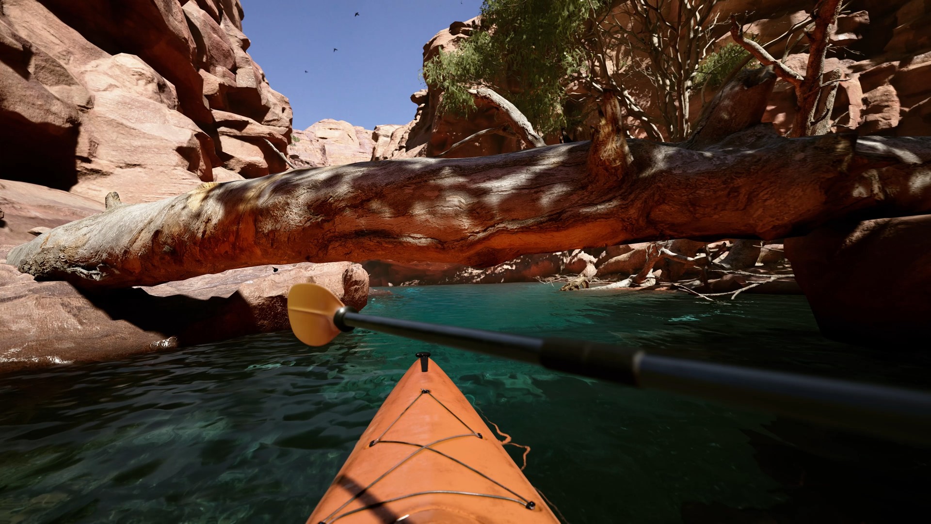Kayak VR: Mirage Preview 3