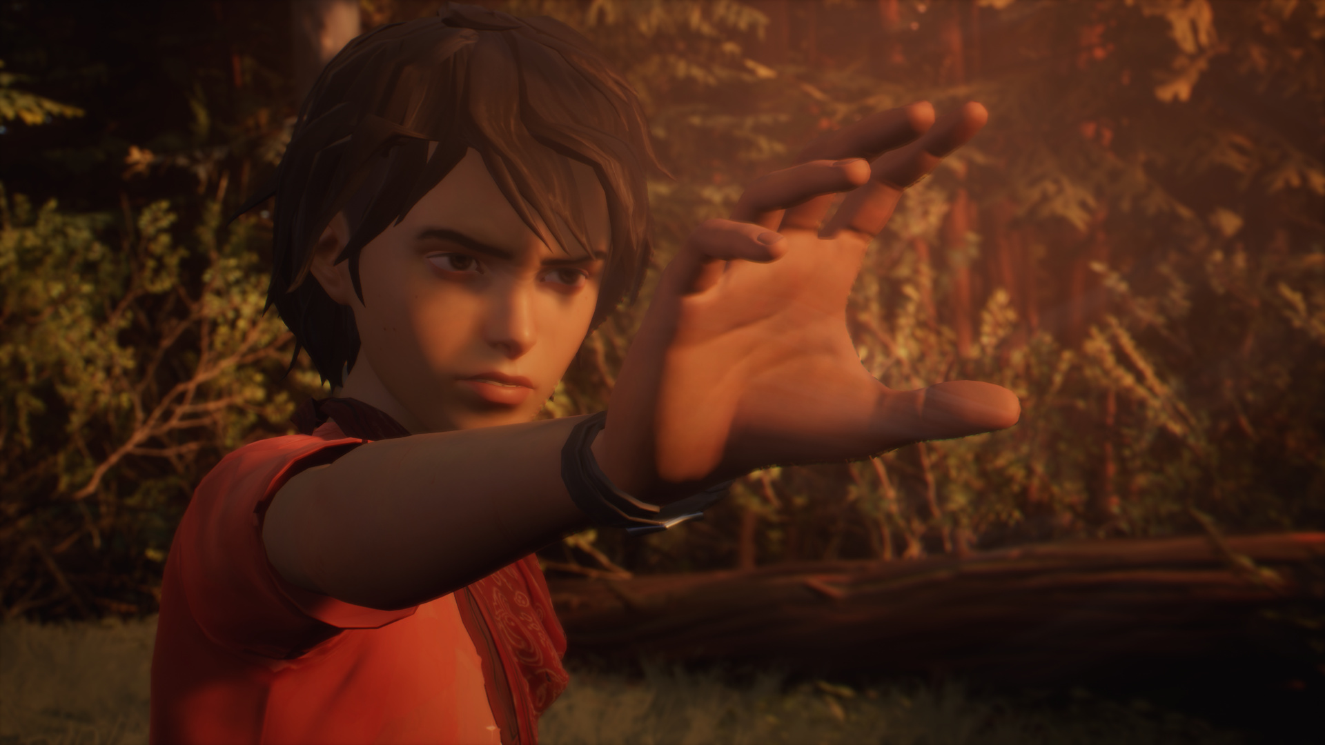 Life is Strange 2 Preview 1