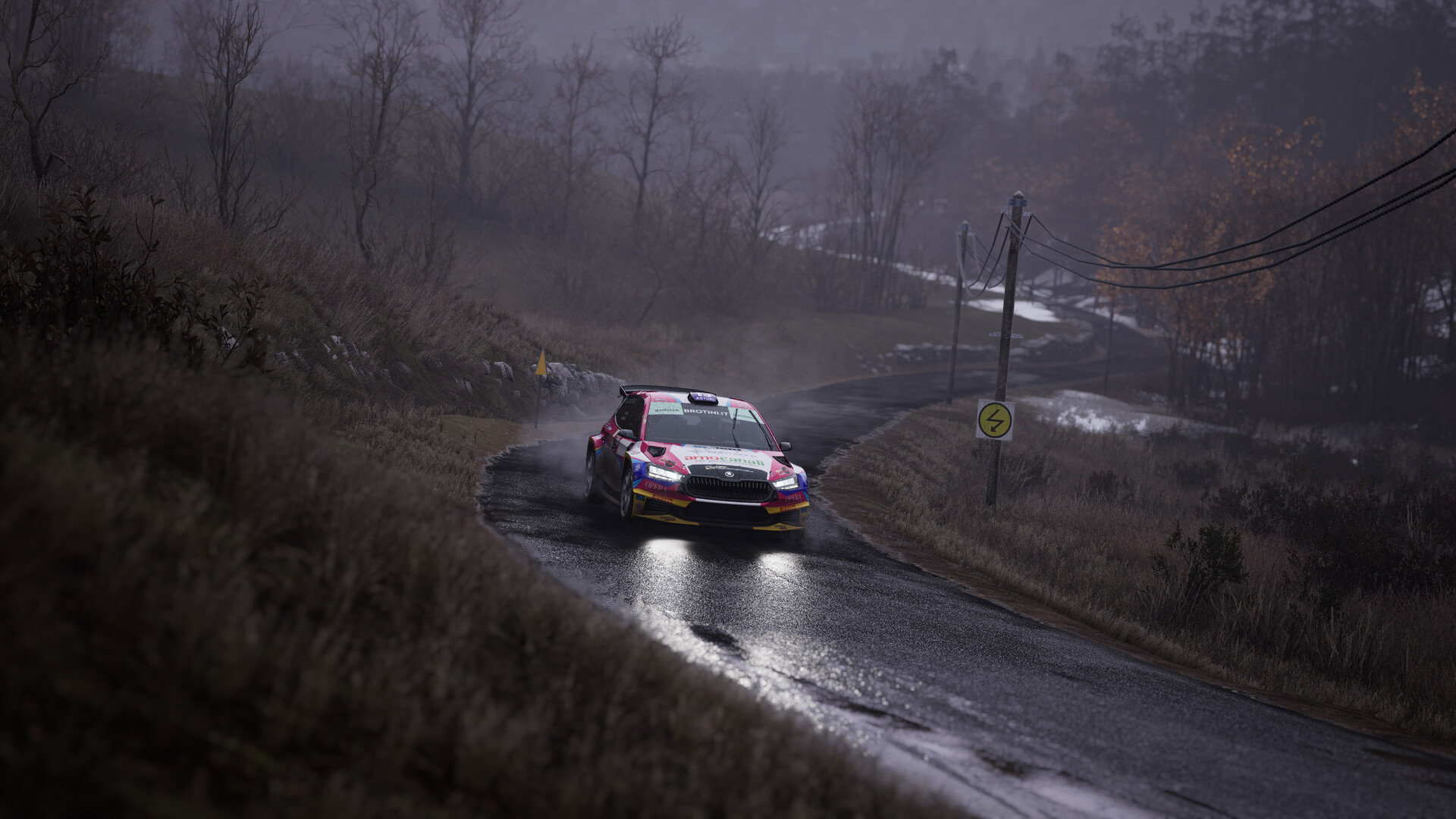 Assetto Corsa Rally Preview 5