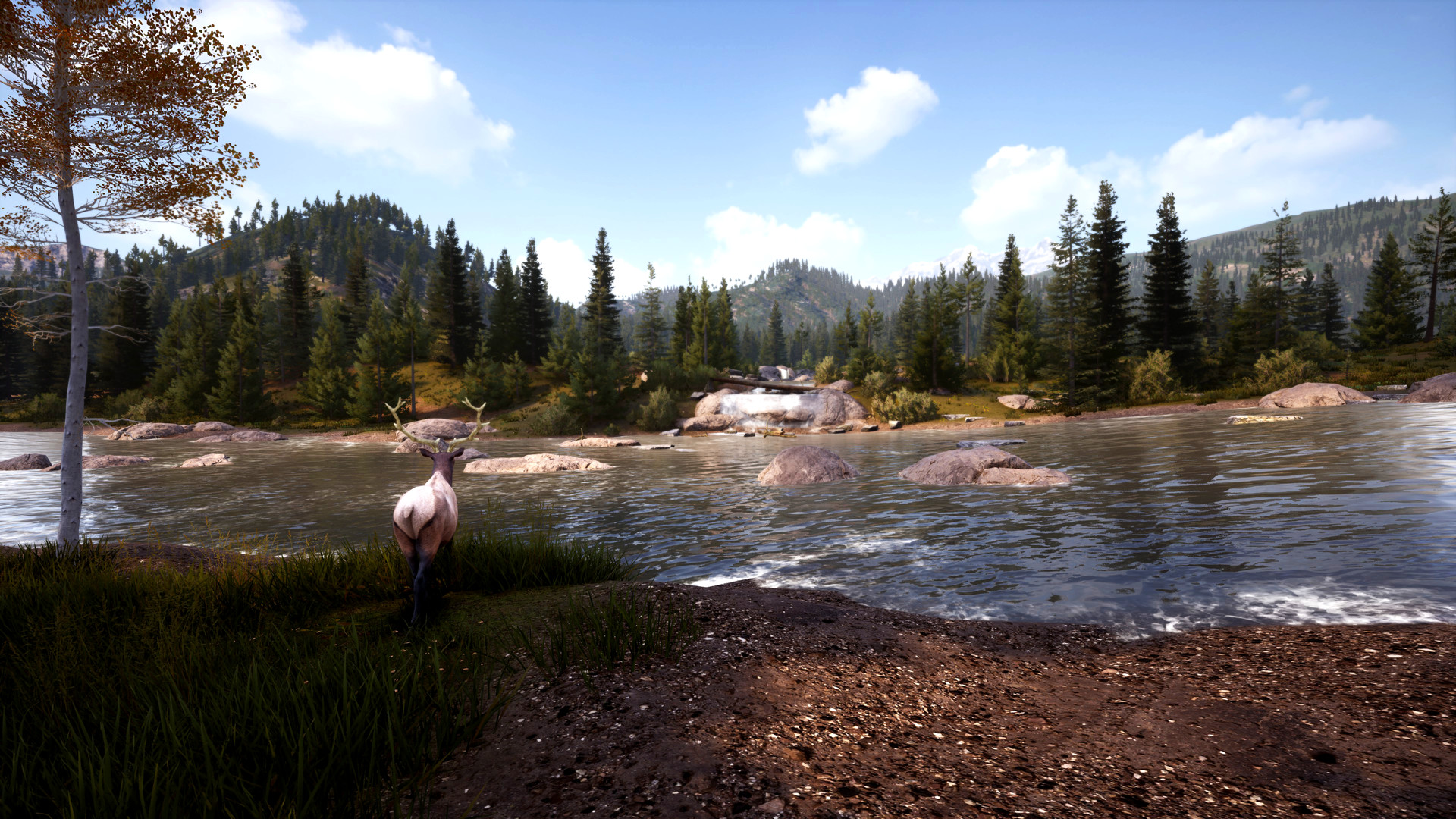 Hunting Simulator 2 Preview 4