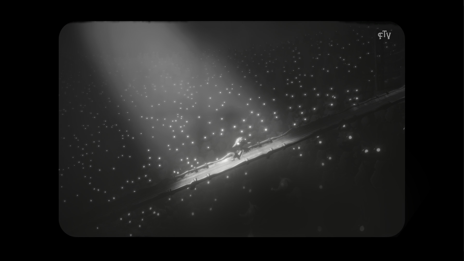 White Shadows Preview 1