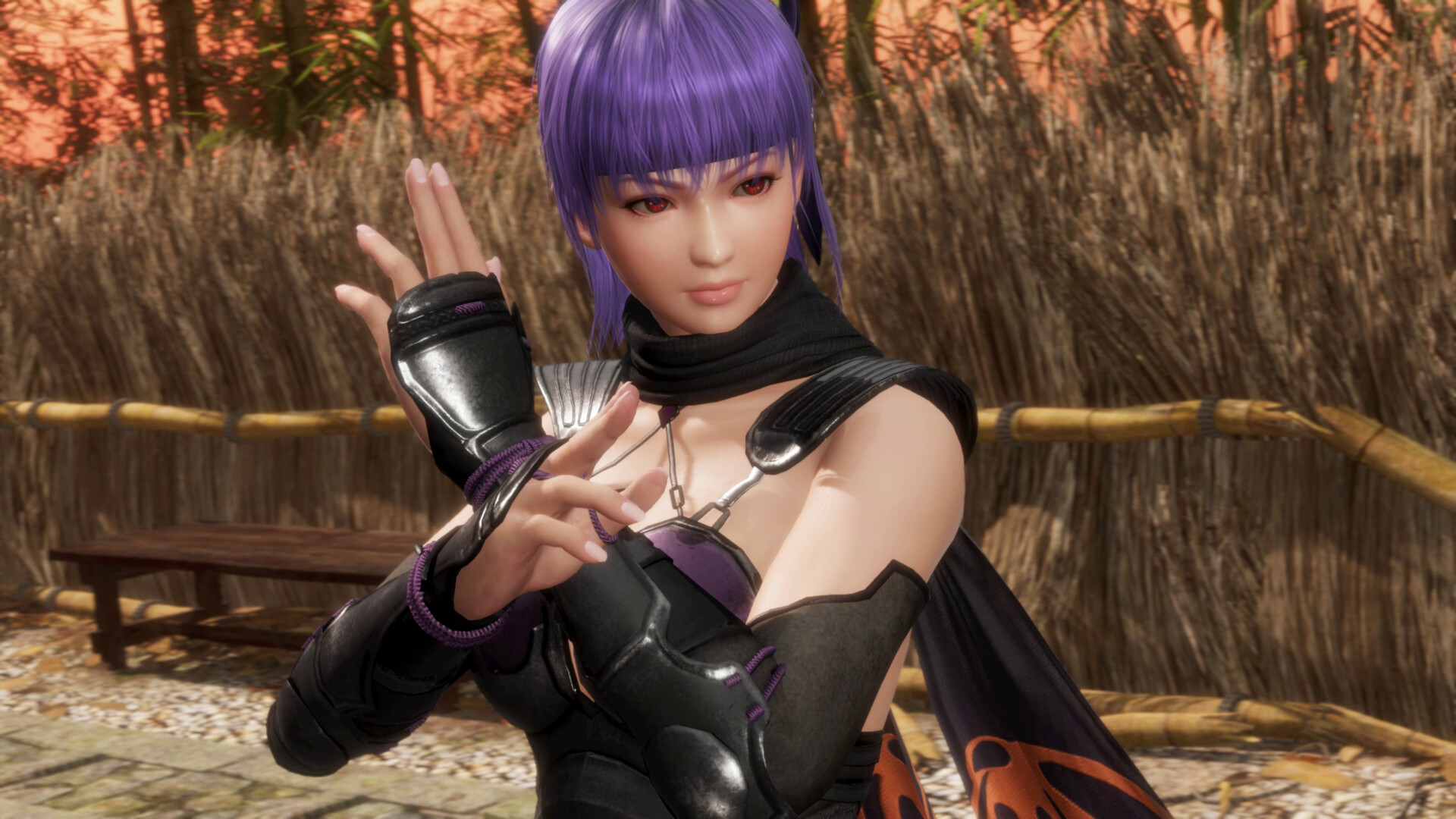 DEAD OR ALIVE 6 Last Round Preview 3