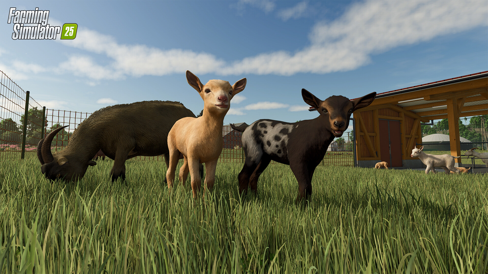 Farming Simulator 25 Preview 4