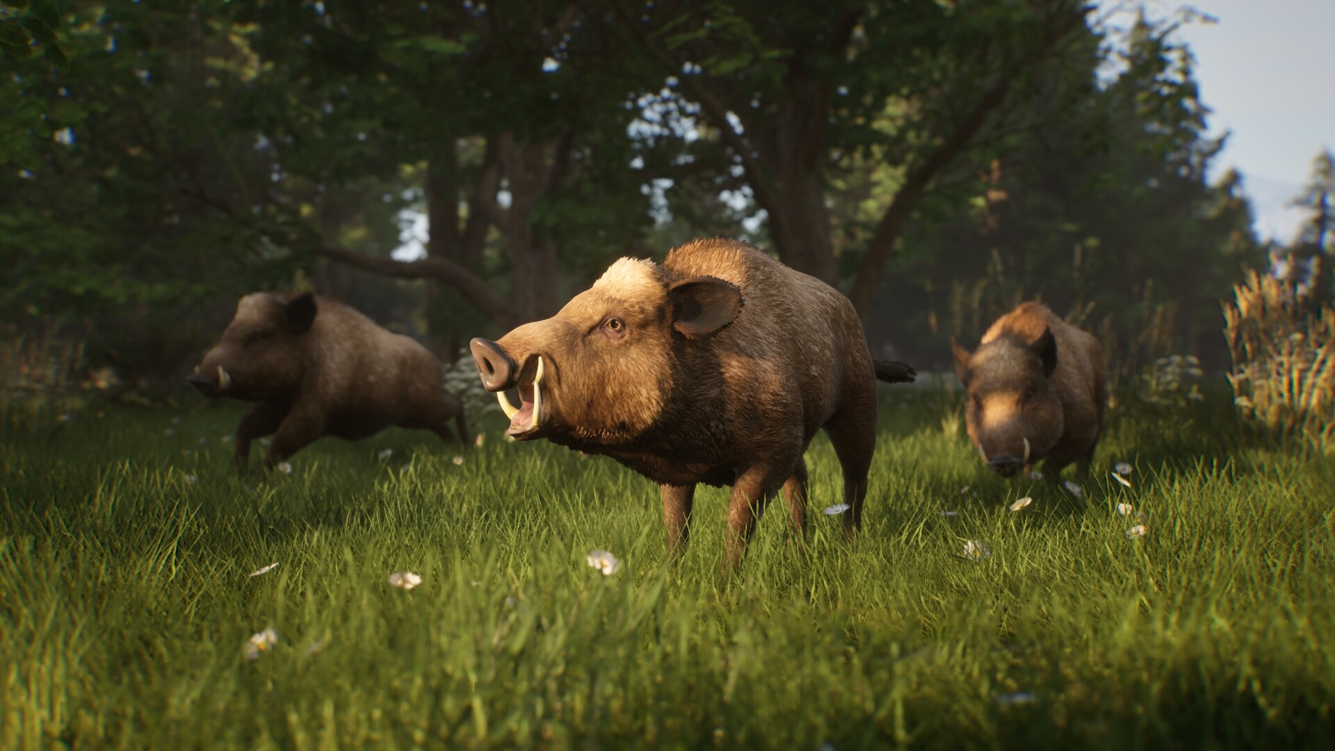 Noble Legacy Preview 5