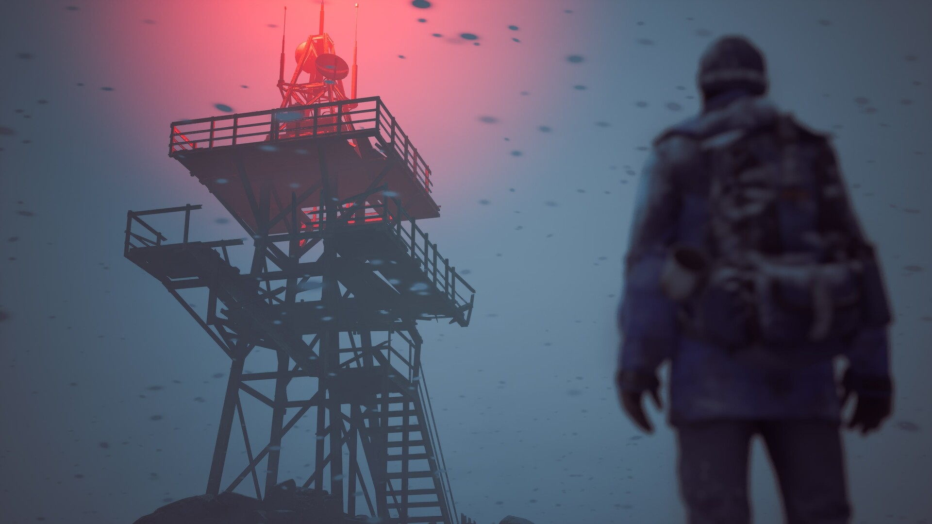 Winter Survival Preview 2