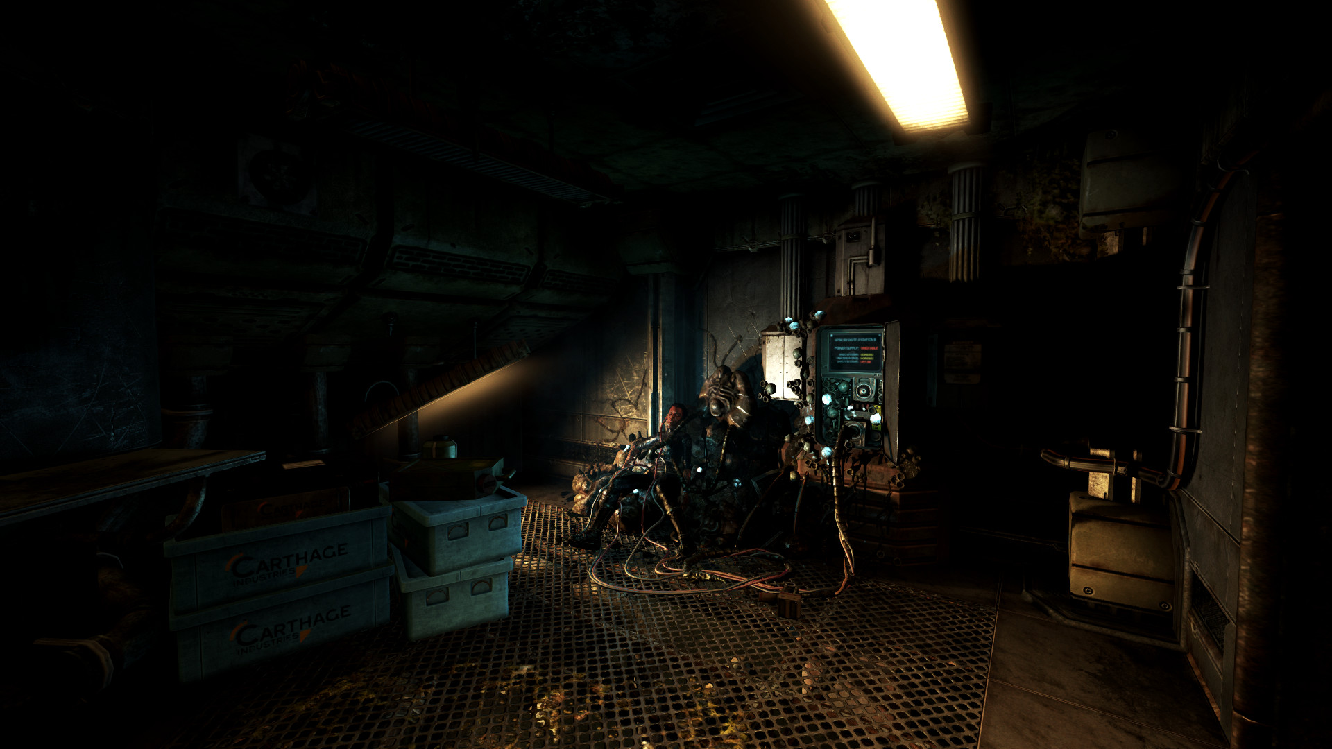 SOMA Preview 5