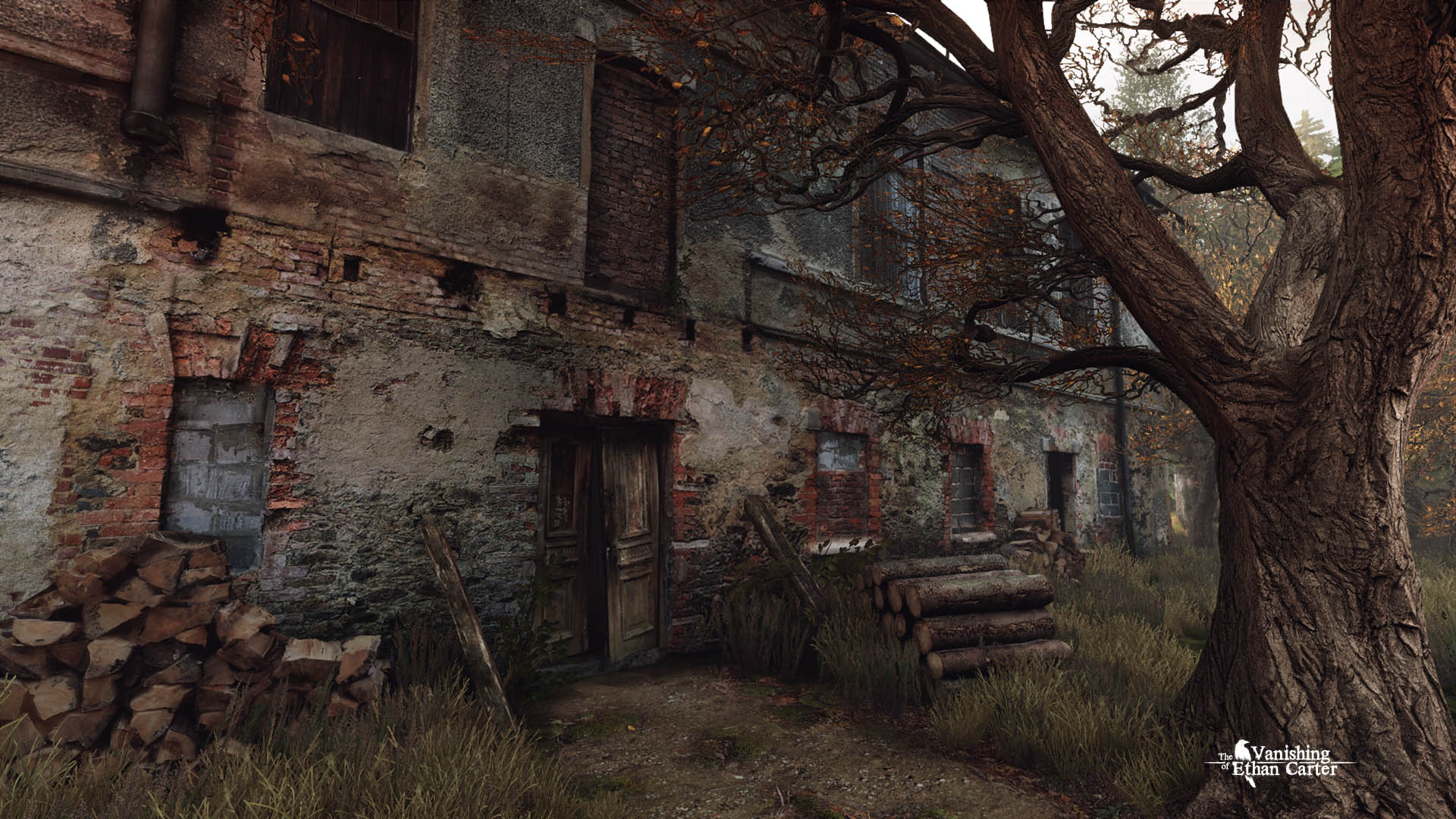 The Vanishing of Ethan Carter Preview 2