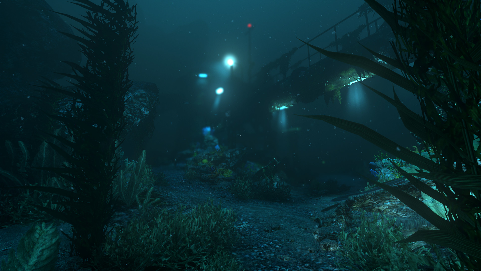 SOMA Preview 4