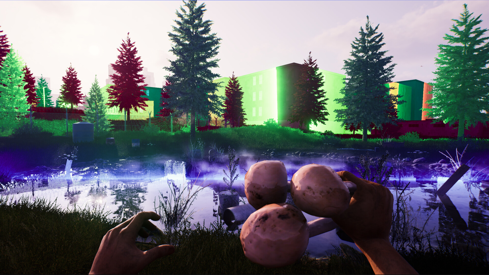 Bum: Revenge Preview 2